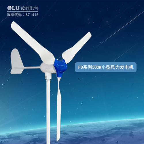 FD系列300W小型風(fēng)力發(fā)電機