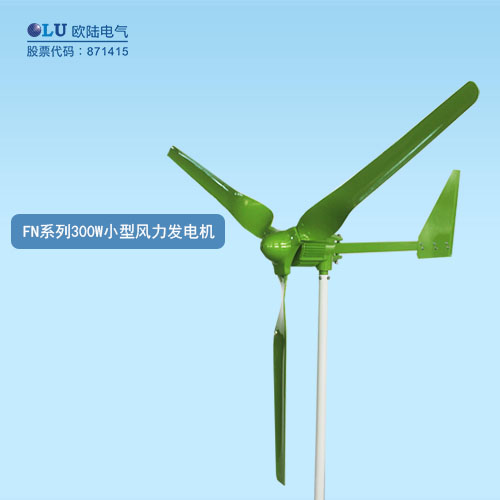 FN系列300W小型風(fēng)力發(fā)電機(jī)
