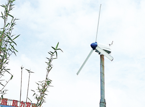 南京歐陸電氣風力發(fā)電機經受住了臺風的“考試”